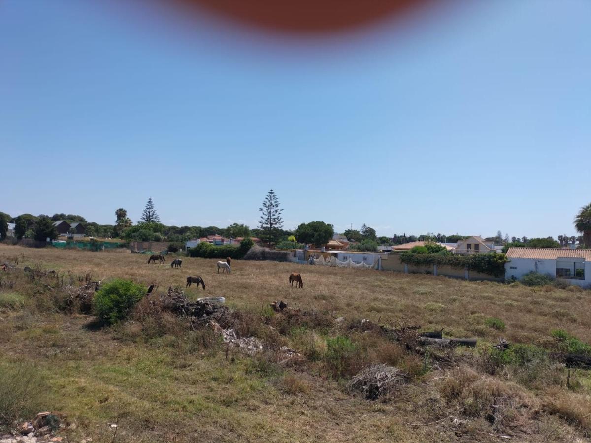 Villa Antonia 奇皮奥纳 外观 照片